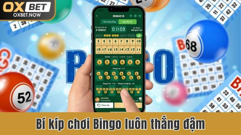 Bí kíp chơi Bingo luôn thắng đậm