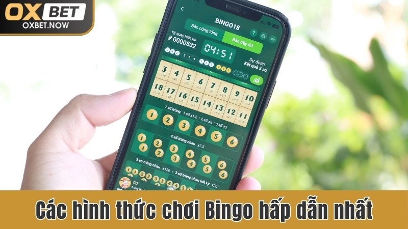 Các hình thức chơi Bingo hấp dẫn nhất