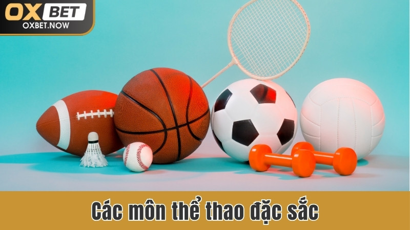 Các môn thể thao đặc sắc