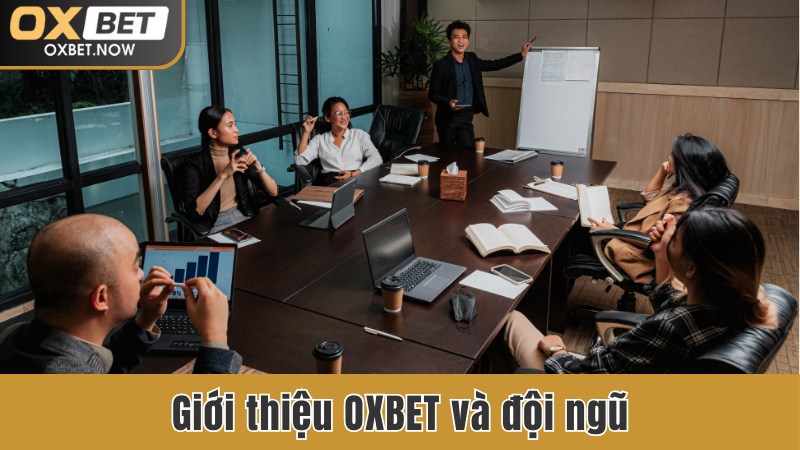 Giới thiệu OXBET và đội ngũ