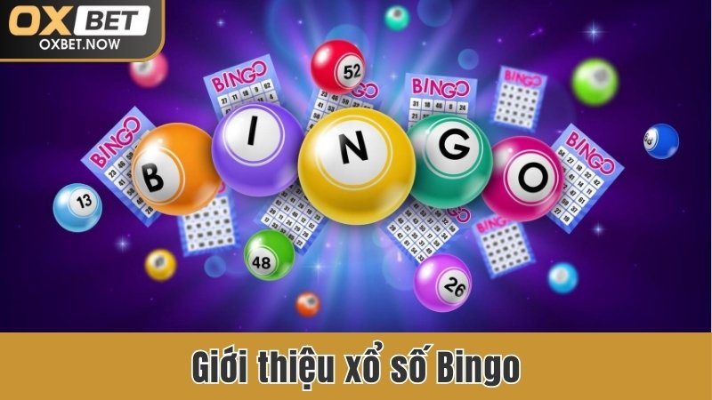 Giới thiệu xổ số Bingo