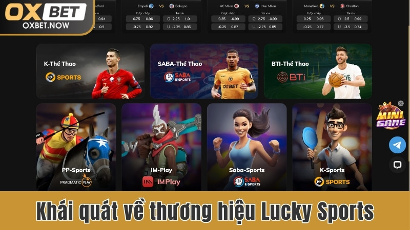 Khái quát về thương hiệu Lucky Sports