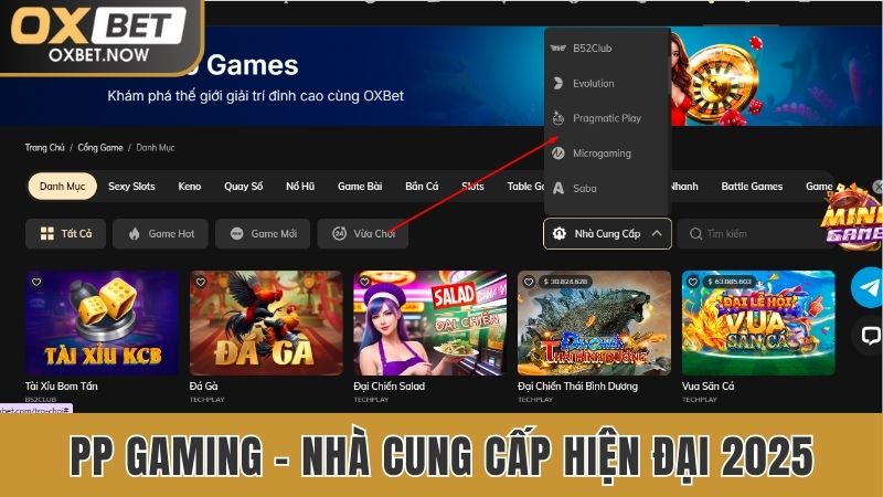 PP Gaming