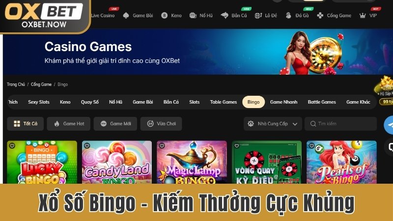 Xổ số Bingo